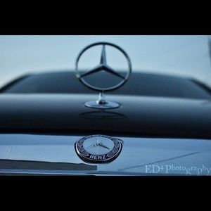 Meet your Posher, Tony